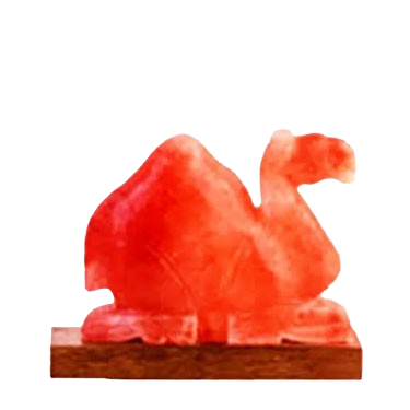 Himalayan salt lamp wholesale camel shape carved from natural rock salt for warm ambient lighting and decorative interior use