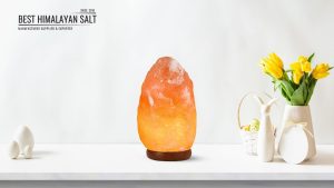 How to Choose an Authentic Himalayan Pink Salt Lamp?